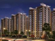 Adore The Select Premia,Sector 77 3 BHK Apartment For...