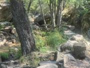 Adosada en venta en Lanzahita, Castilla y leon