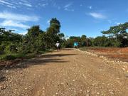 Adquiere Tu Lote Multipropósito y Aprovecha Todos Los...