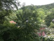 adrette 2 Zi Wohnung mit Lift + Balkon in Graz...