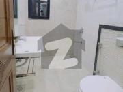 Aesthetic Flat Of 500 Square Feet For Rent Is Available...