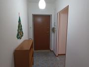 Affittasi 5 stanze singole