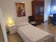 Affittasi a Pisa Camere Singole per studenti maschi