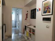 Affittasi Appartamento, Affittasi appartamento con...