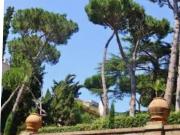 Affittasi Appartamento, Appartamento via dei Monti...