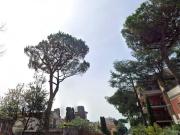 Affittasi Appartamento, BILOCALE AMPIO IN ZONA CORTINA...