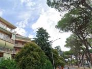 Affittasi Appartamento, BILOCALE MANSARDATO IN ZONA...