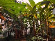 Affittasi Appartamento, In elegante palazzo d'epoca...