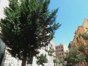 Affittasi Appartamento, MONOLOCALE AMPIO IN ZONA PIGNETO...