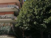 Affittasi Appartamento, Roma Balduina Seneca Annunci...