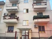 Affittasi Appartamento, TORREVECCHIA STANZA IN AFFITTO...