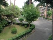 Affittasi appartamento zona residenziale con piscina...