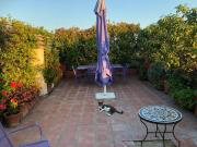 Affittasi Attico, Via Fleming Annunci Roma, Zona Fleming... Affittasi Attico, Via Fleming Annunci Roma, Zona Fleming...