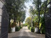 Affittasi attico/mansarda a Roma via del Casaletto,...