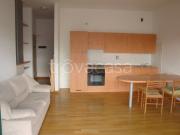 Affittasi bilocale a Bologna, Bolognina