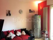 Affittasi bilocale a Bologna, Saffi