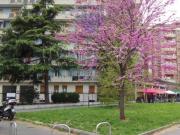 Affittasi bilocale a Milano via Capecelatro, 81, San Siro