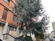 Affittasi bilocale a Milano via Moisè Loria, 27, Solari