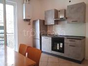 Affittasi bilocale a Palazzolo sull'Oglio