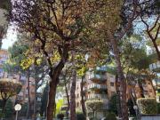 Affittasi bilocale a Roma via Alessio Baldovinetti,...