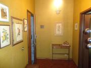 AFFITTASI DUE STANZE A STUDENTESSE IN GRAZIOSO APPARTAMENTO