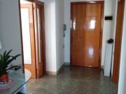 Affittasi marghera centro per ditta, infermieri,...