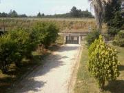 affittasi villa affittasi villa