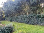 Affittasi Villa, Villa unifamiliare Annunci Roma, Zona...