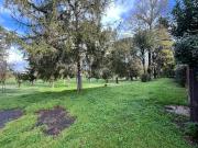 Affittasi Villetta a schiera, PARIOLI PEZZANA Annunci...