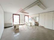 affitto 8 vani 300mq