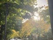 Affitto Appartamento, MONTECATINI TERME