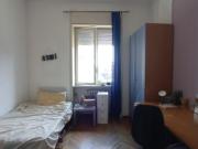 affitto citt studi affitto citt studi