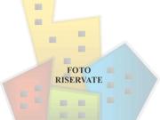 affitto Contrada Bosco 6 vani 150mq affitto Contrada Bosco 6 vani 150mq