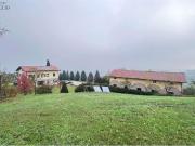 affitto monolocale 300mq