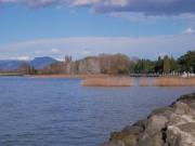 affitto trilocale con box in residence con piscina