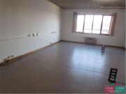 affitto Via Paltrinieri quadrilocale 370mq