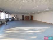 affitto Via Paltrinieri trilocale 235mq