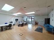 affitto Via tacito 8 vani 272mq