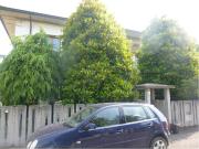 affitto Via Ventena 6 vani 300mq