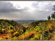 Affitto Villa, GROTTAFERRATA