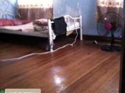 Affordable and cheap room for rent with spacious garage