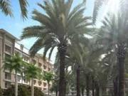 Affordable Condo In Pasig Near Ortigas C5 Levina Place...