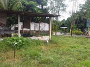 Affordable Dream Home: Pre Selling Opportunity in...