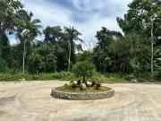 Affordable farm lot for sale with fruits bearing and...