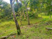 affordable farm lot in Babak Samal for sale