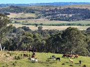 Affordable Gurrundah Rural Land