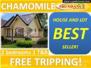 Affordable House And Lot In Bulacan For Sale Chamomile...