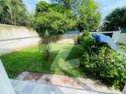 Affordable House Of 666 Square Yards Is Available For rent