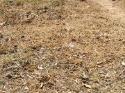 Affordable Lot for Sale in Exclusive Tahanan Village,...