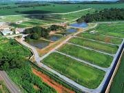 Ágio Lote Condomínio Fechado Ecologico Veneza Lote à...